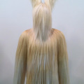 Nick  cave_big_square